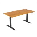 Custom Height Adjustable Desk Frame With Dual Motor