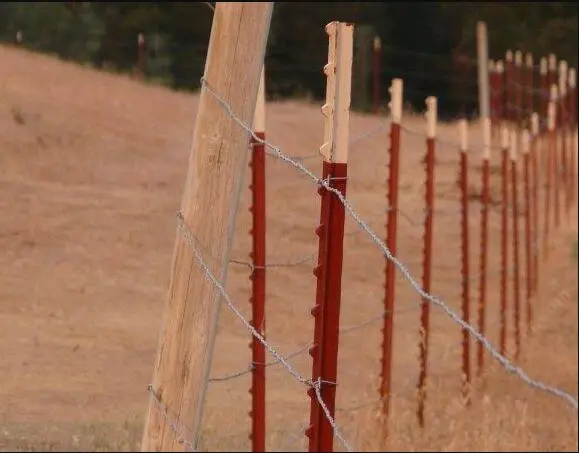 America Type Green Painted Studded Fence T Post