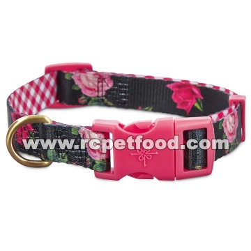 best in park dog collars