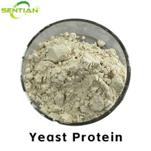 High-Quality Yeast Protein Extracts