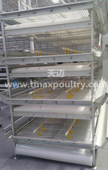 H Type Automatic Broiler Equipment