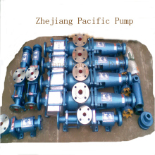 Helical Rotor Pump with Hooper