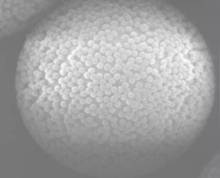 Solid Phase Extraction (SPE) UniBPC 20-300