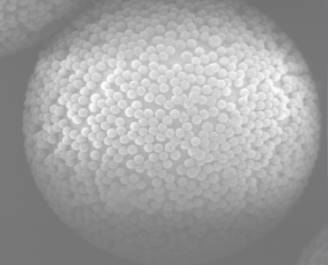 Solid Phase Extraction (SPE) UniMC 40-300