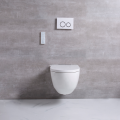 Hightech volledig intelligent SmartToilet