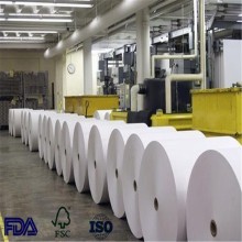 Single PE coated paper food grade