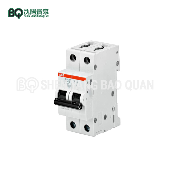 S202-D6 Circuit Breaker para sa Construction Hoist