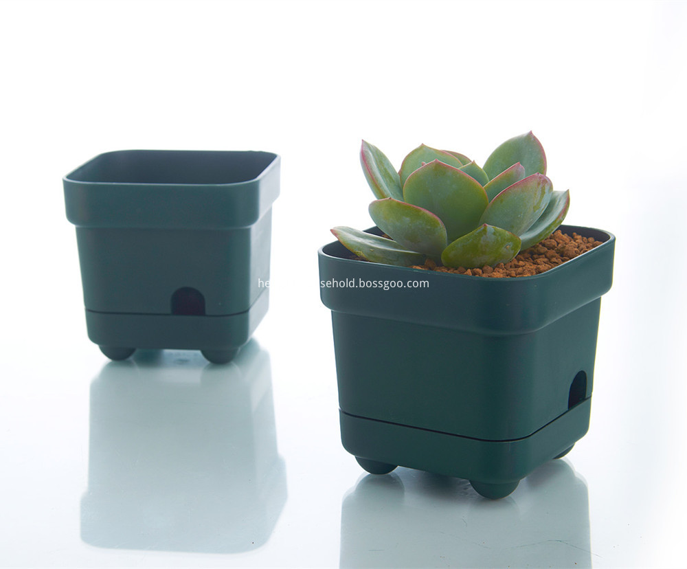 Pots for Plants Plastic