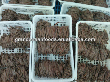 Italy salted anchovy