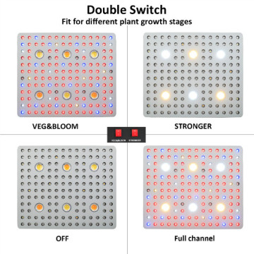 Potencia real 630watt COB 3000W Cultivar luz