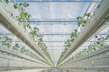 White Fire retardant greenhouse Thermal screen