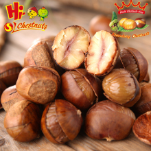 Organic Roasted Chestnuts in Shell Halal Snacks