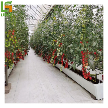 China Standard PVC NFT Hydroponic Gutter for Strawberries and Tomatoes