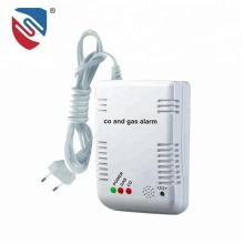Carbon Monoxide and Gas Alarm