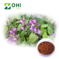 Horny Goat Weed Extrait 60 Icariins HPLC