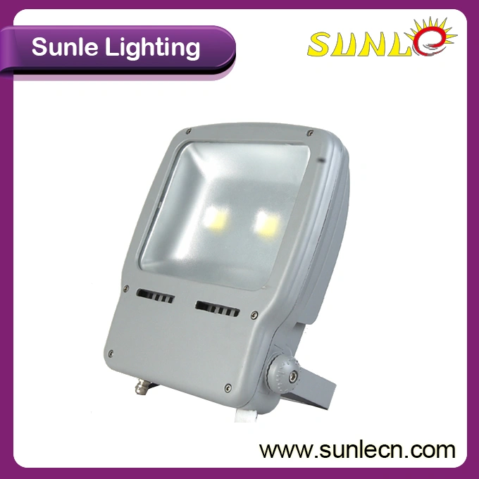 Floodlight 100W High Quality Outdoor LED Flood Light (SLBF210 100W)