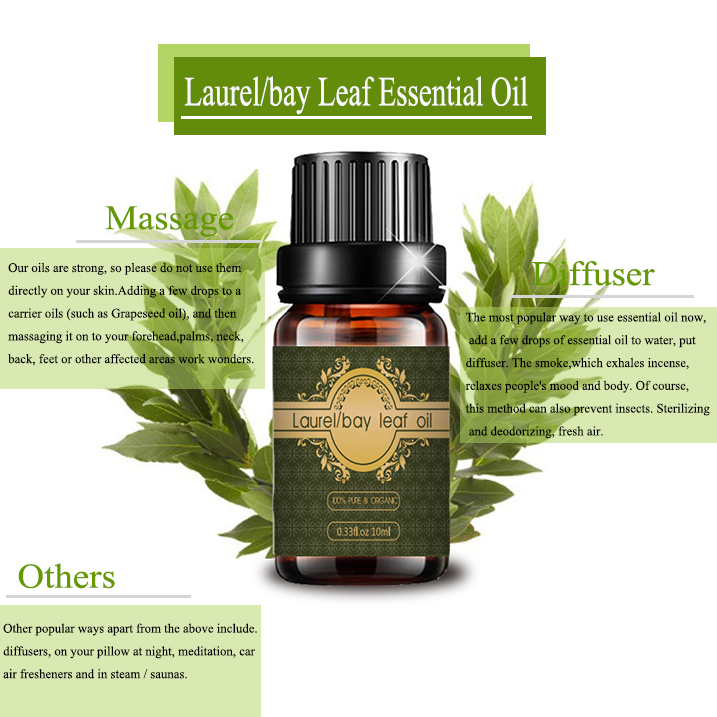 Aceite de hojas de laurel Laurel Natural Essential Aceil a granel