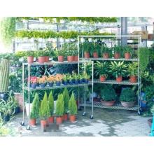 Metall Chrome DIY Pflanze wachsende Regale für Geen Haus