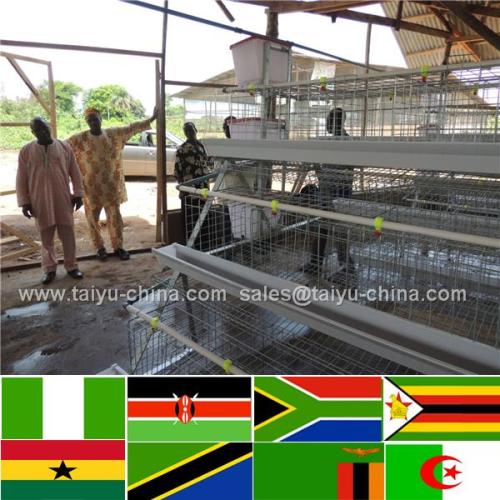 Trade assurance NO.1 Stong steel feed trough layer chicken cages for kenya hen farm (poultry equipment and own oversea agent)