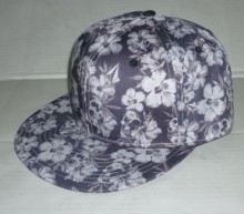 The Hundreds Snapback Hats, Caps and Hats, Snapback Hats (GF12-099)