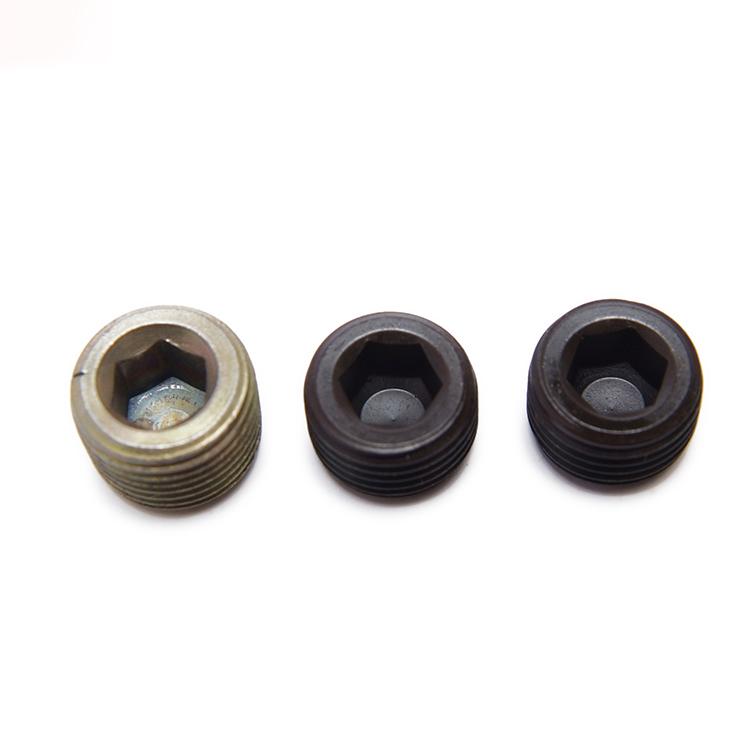 Steel Screw Plugs