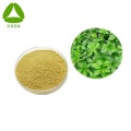 Gynostemma Extract Powder 10:1 Health Care Raw Materials