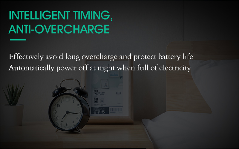 T10 24 Hours Daily Mechanical Timer Switch Module