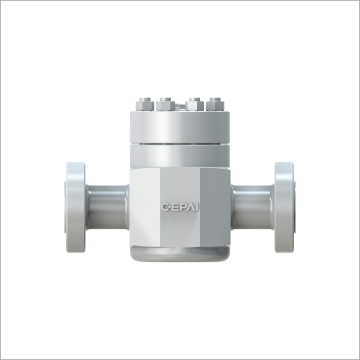 Lift Check Valve