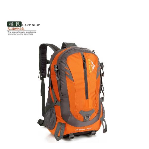 Logo personalizzato Outdoor Escursionismo Sport Picnic Bagpack pieghevole