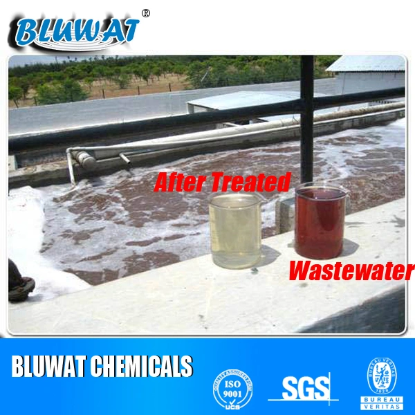 Sludge Dewatering Polyacrylamide Polymer for Sludge Dewatering