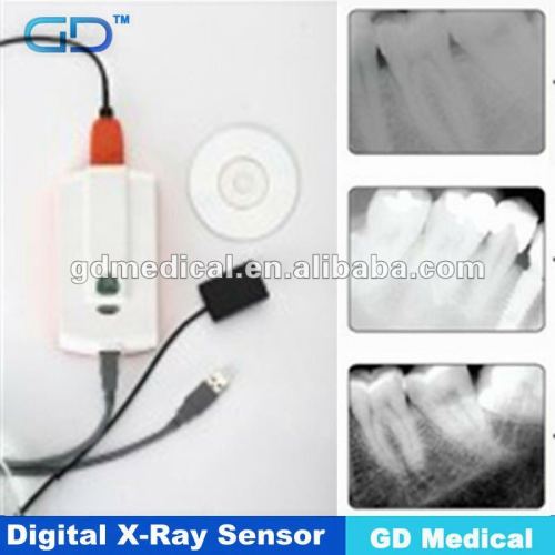 HIGH QUALITY Digital X Ray Sensor RVG