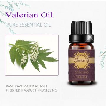 Valerian root Oil Best quality Valerian Oil Bulk