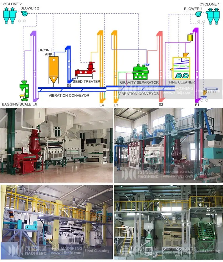 High Separating Rate Grain Seeds Separating Machine/ Selecting Machine