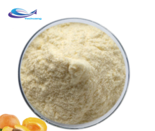 ISO Certified dried apricot fruit powder