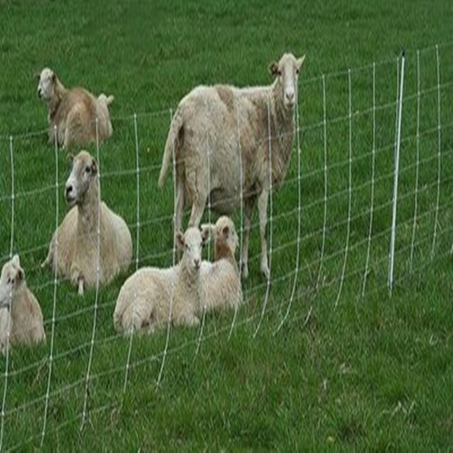 YQ Curvy Welded Wire Mesh Fence /3D Welded Fence Panel Factory Price