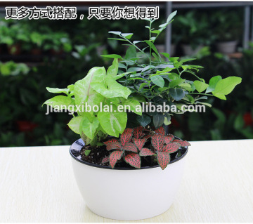 Different sizes white self watering plastic planter pot system