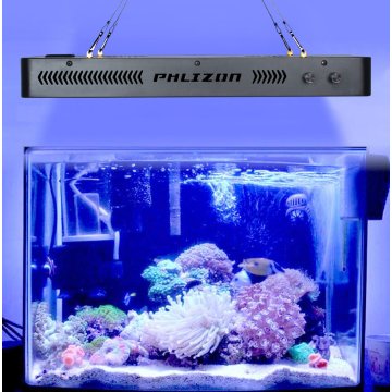 Kualiti Teratas Coral Terumbu Karang Akuarium LED