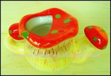 ceramic garden decorative watering can