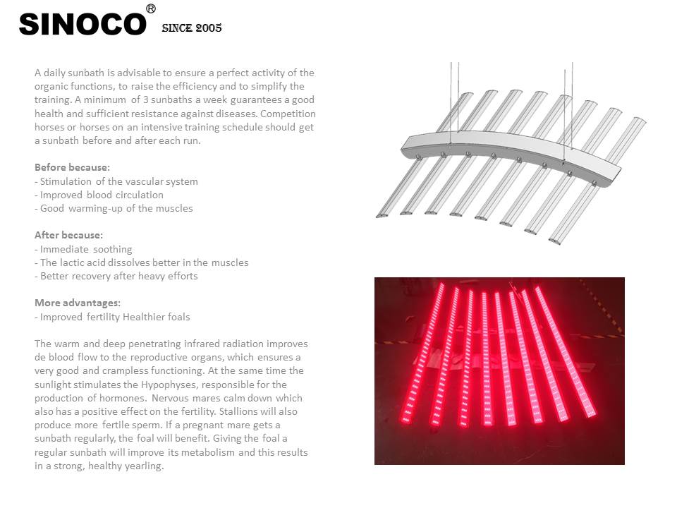 5-Year Guarantee LED Full Body Equine Solarium Device for Horses Horse Sunbath with Red Light Therapy Bar Light for Pets