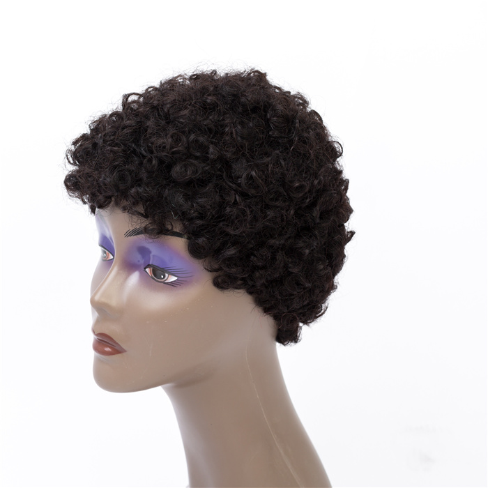 Factory Stock Supply Afro Kinky Curly Wigs For Black Women  100% Human Hair Short Wigs