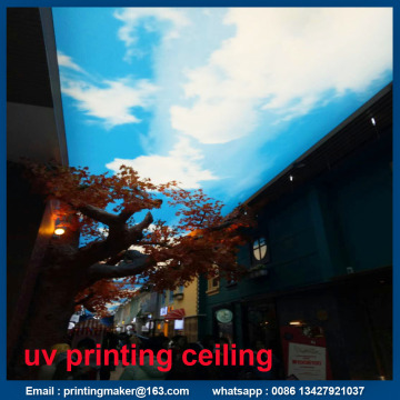 Ceiling With Custom Sky Graphic UV Printing Service