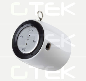 Durable Waterproof Bluetooth Car Speakers For Iphone / Ipad And Smartphone