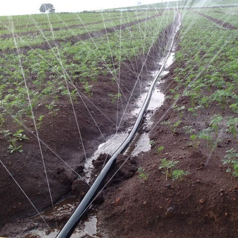 Agriculture Irrigation Drip Tape Vs Drip Line