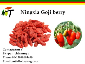 chinese dried goji berries