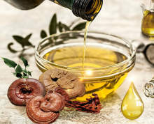 Organic Ganoderma Lucidum Reishi Mushroom Extract Spore Oil