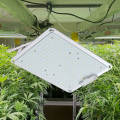 Luzes de cultivo de LED para plantas internas espectro completo