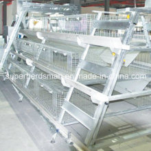 a Type Chicken Cage System for Layers