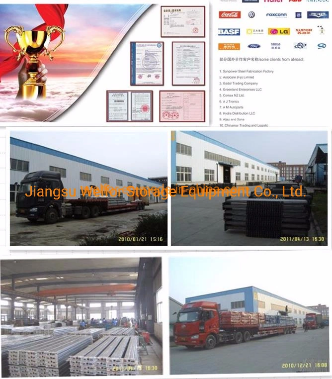 Warehouse Metal Storage Radio Shuttle Pallet Rack System