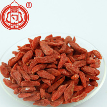 Rode gedroogde Wolfberries Goji bessen Fruit