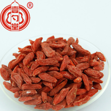 Rode vruchten gedroogde Goji-bessen Gezondheid Superfood